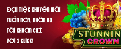 Siêu Combo 014